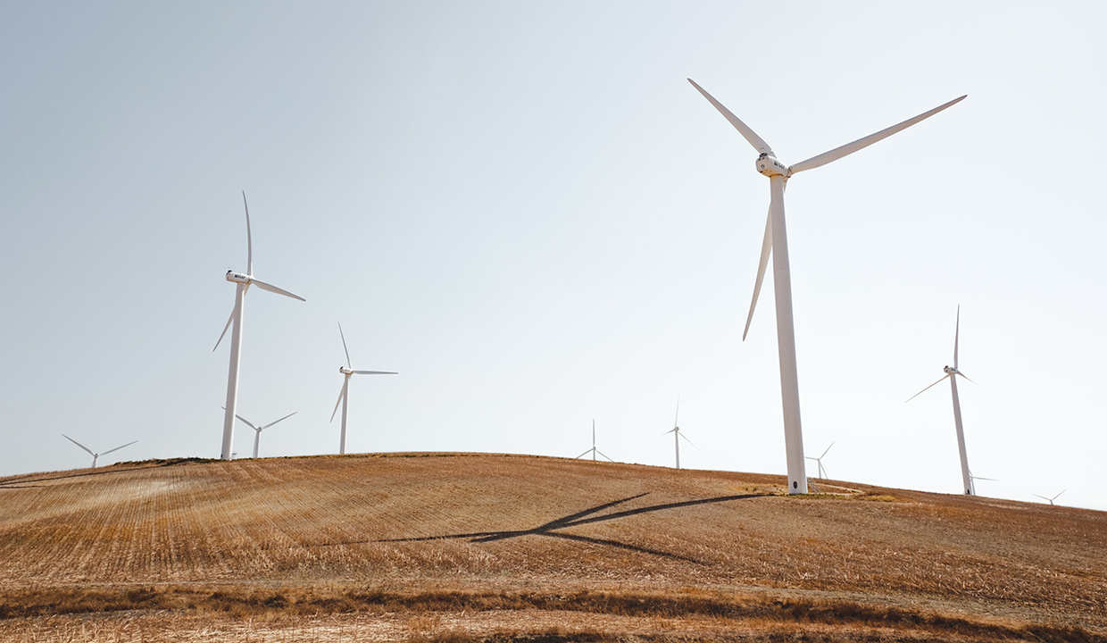 Palliser Economic Partnership: Wind Energy